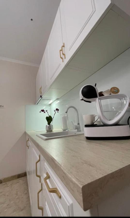 Apartamente Cu Un Dormitor Timisoara Exterior photo